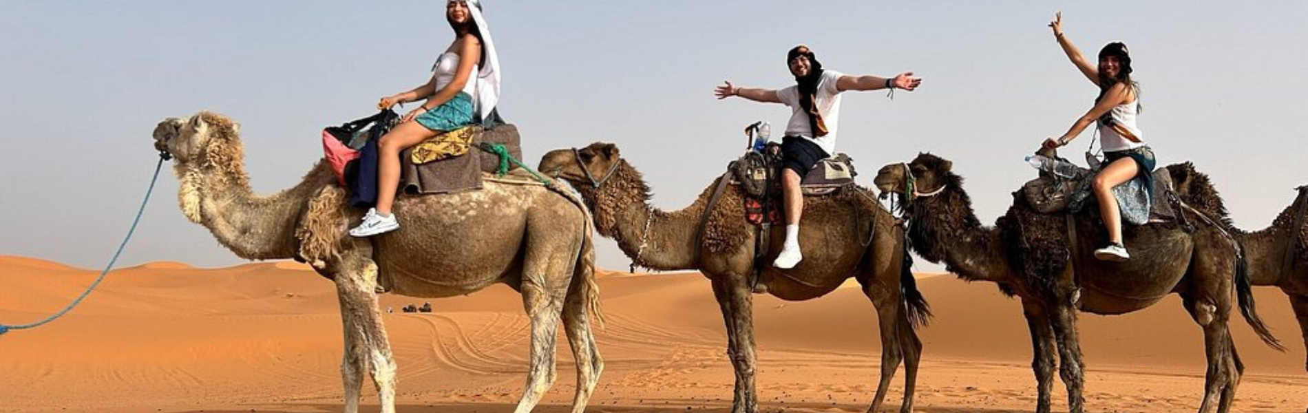 Chameau dans le désert de merzouga