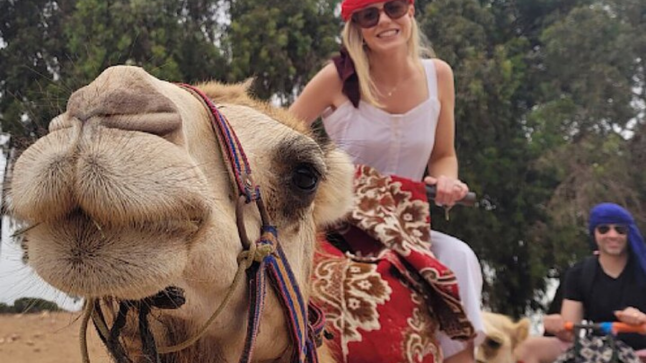 Promenades à dos de chameau