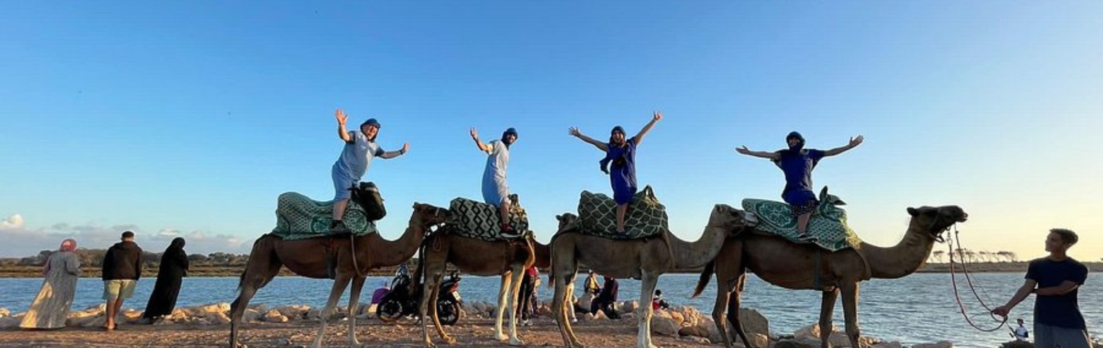 Promenades à dos de chameau