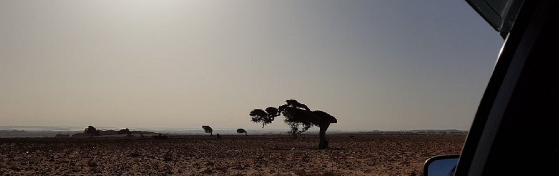 parc national au départ de Taghazout