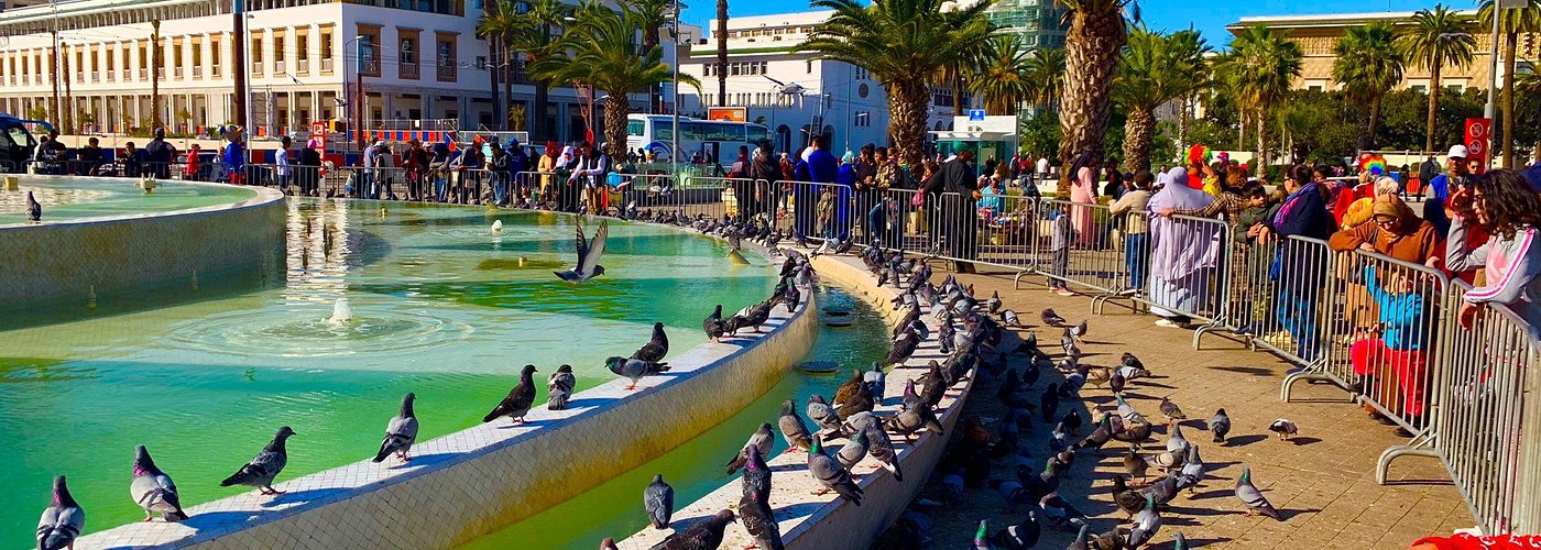 Aventures à Casablanca : Balade à Cheval et Sensations Fortes en Jet Ski