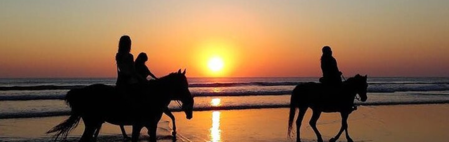 Voyage Organisé de 3 Jours à Saïdia : Équitation, Festival Mawazine VIP et Dîner de Luxe